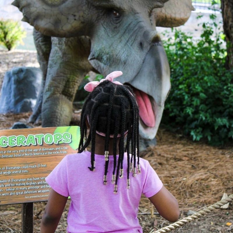 Annalise comes face to face with a dinosaur