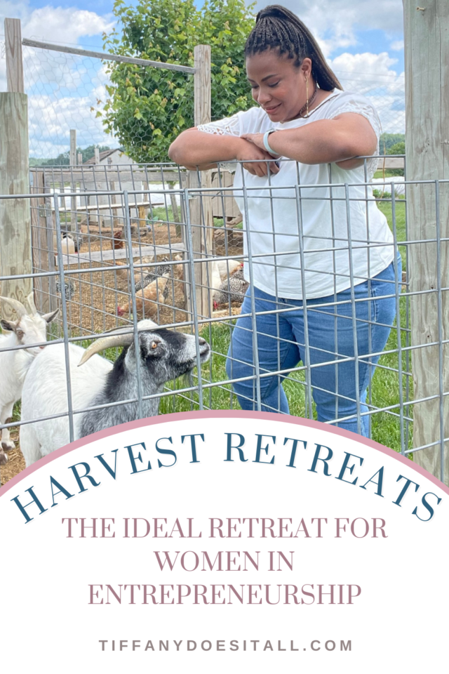 Harvest Retreats are the perfect business retreat for women entrepreneurs - learn more