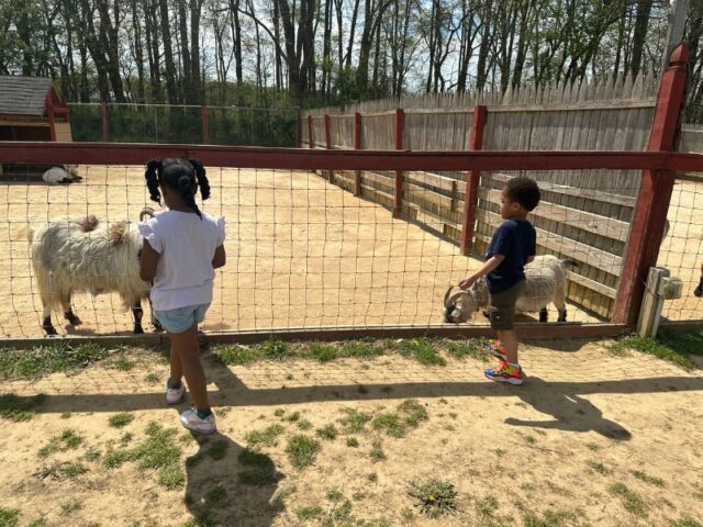 Annalise and Deuce feeding the goats at 3 Palms Zoo & Education Center,