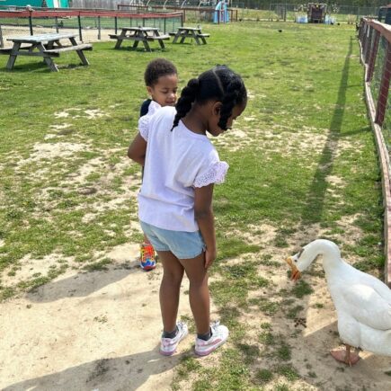 Annalise feeding a goose