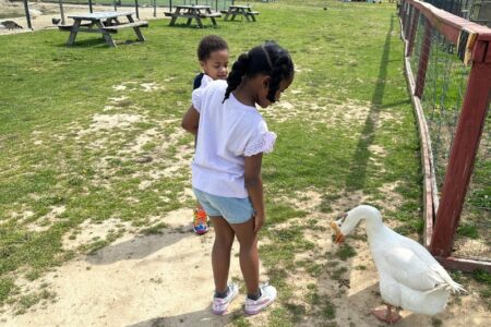 Annalise feeding a goose
