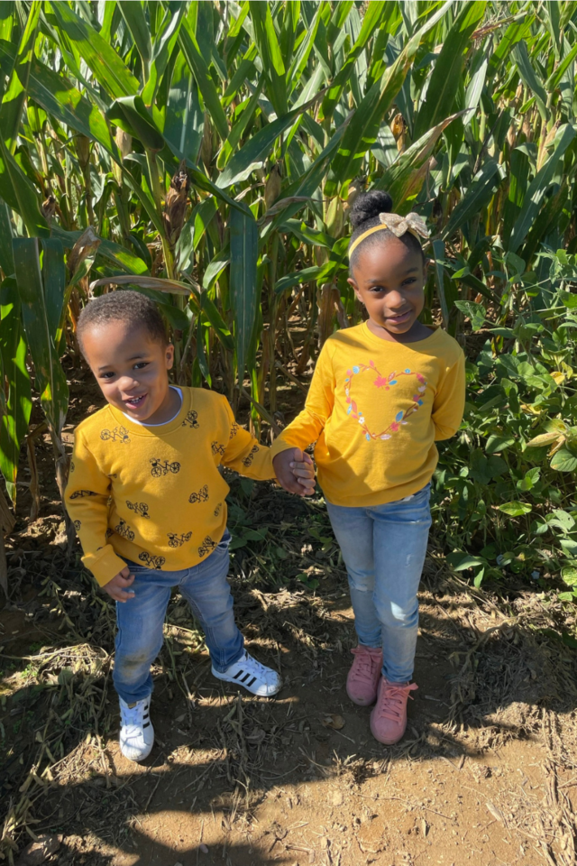 We love exploring the corn mazes throughout the state.